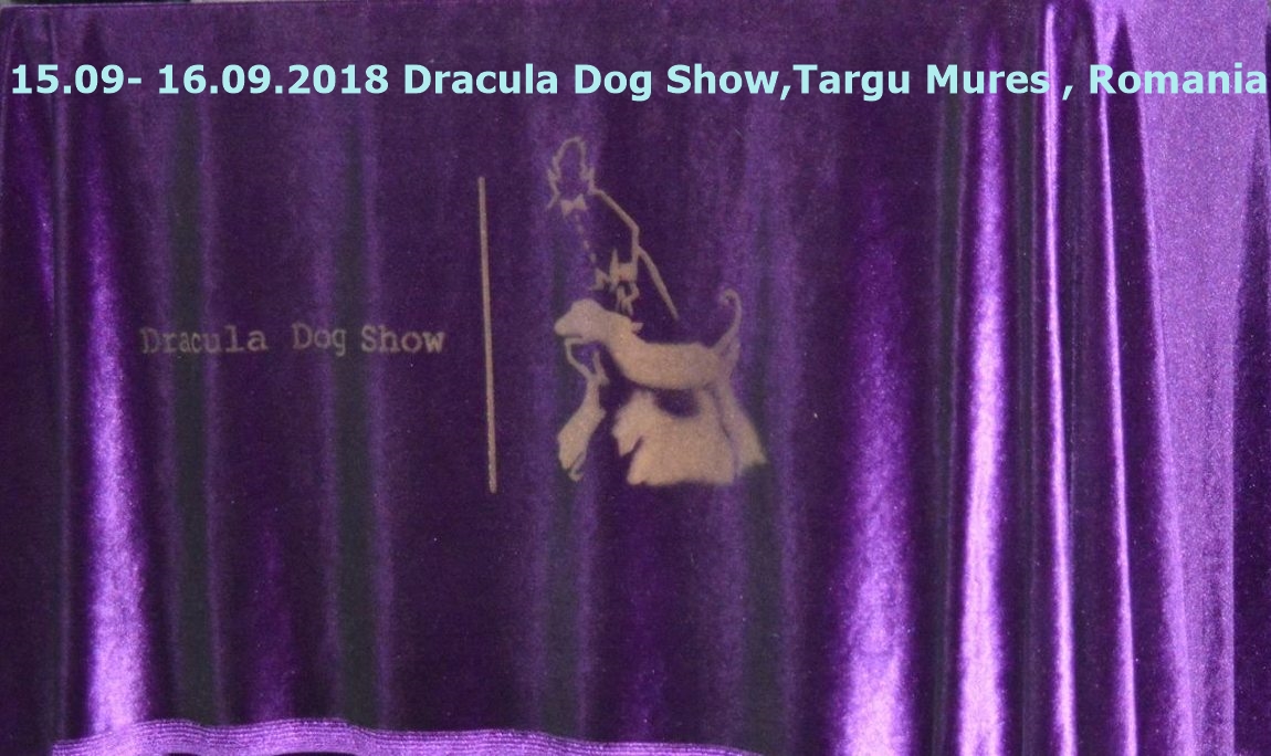 Dracula_Dog_Show_lila2.jpg